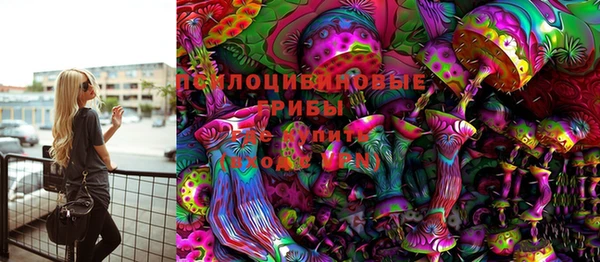 бошки Алзамай