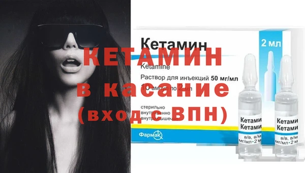 стаф Алексин