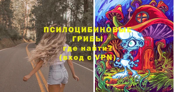 бошки Алзамай