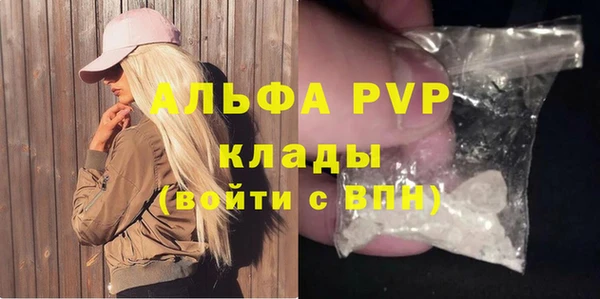 стаф Алексин