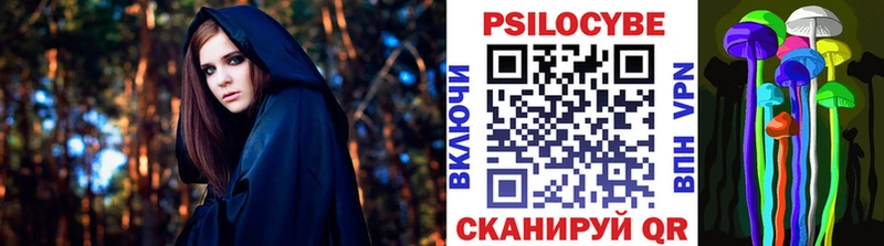 мега как зайти  Новороссийск  дарк нет состав  наркошоп  Галлюциногенные грибы Cubensis 